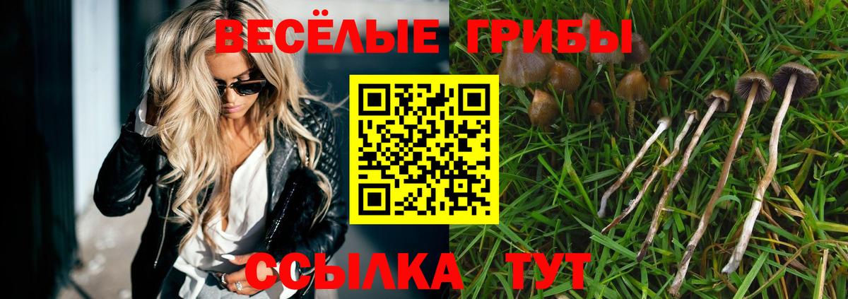 Галлюциногенные грибы Cubensis Кубинка